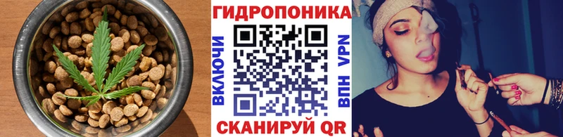 МЕГА ТОР  продажа наркотиков  Нахабино  Cannafood марихуана 
